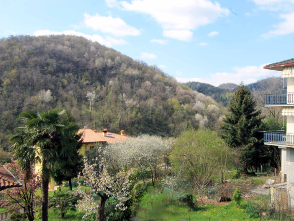 Terreno Palazzago panoramica