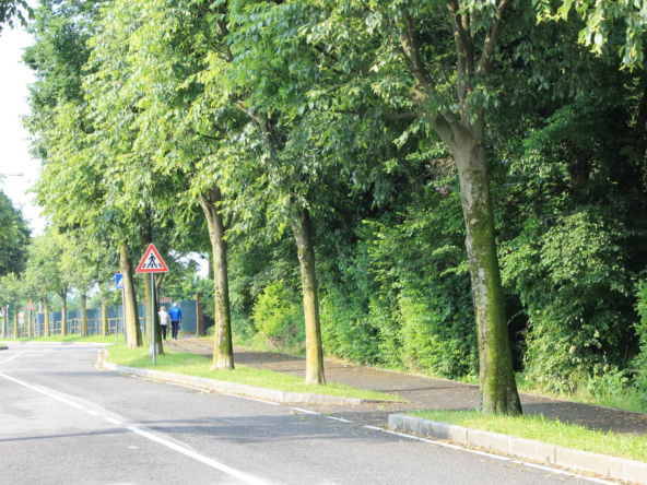 2100_verde 5_20240612175509