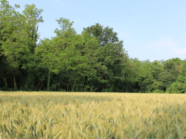 2102_verde 3_20240614163623