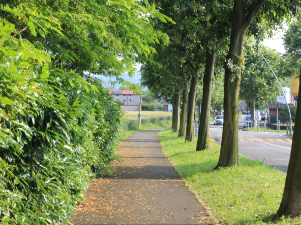 2104_verde_1_20260324103140