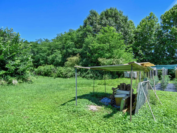 Il verde circostante