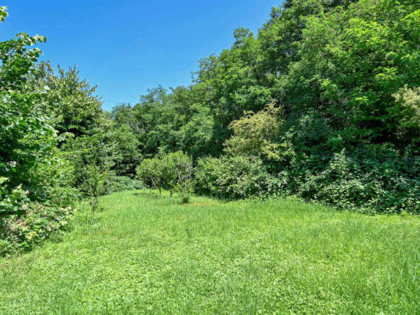 Il verde circostante