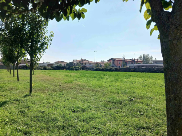 L'area recintata
