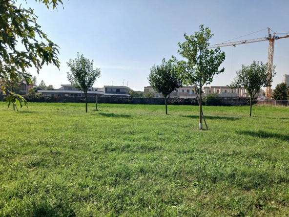 Dal parco