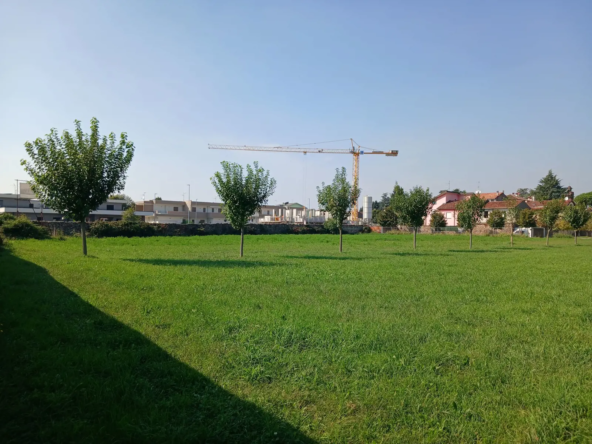 Panoramica del lotto
